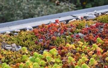 the cost of Hernhill green roof installation